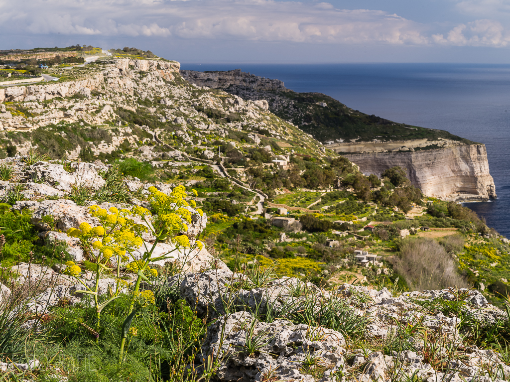 Malta - Dingli Cliffs