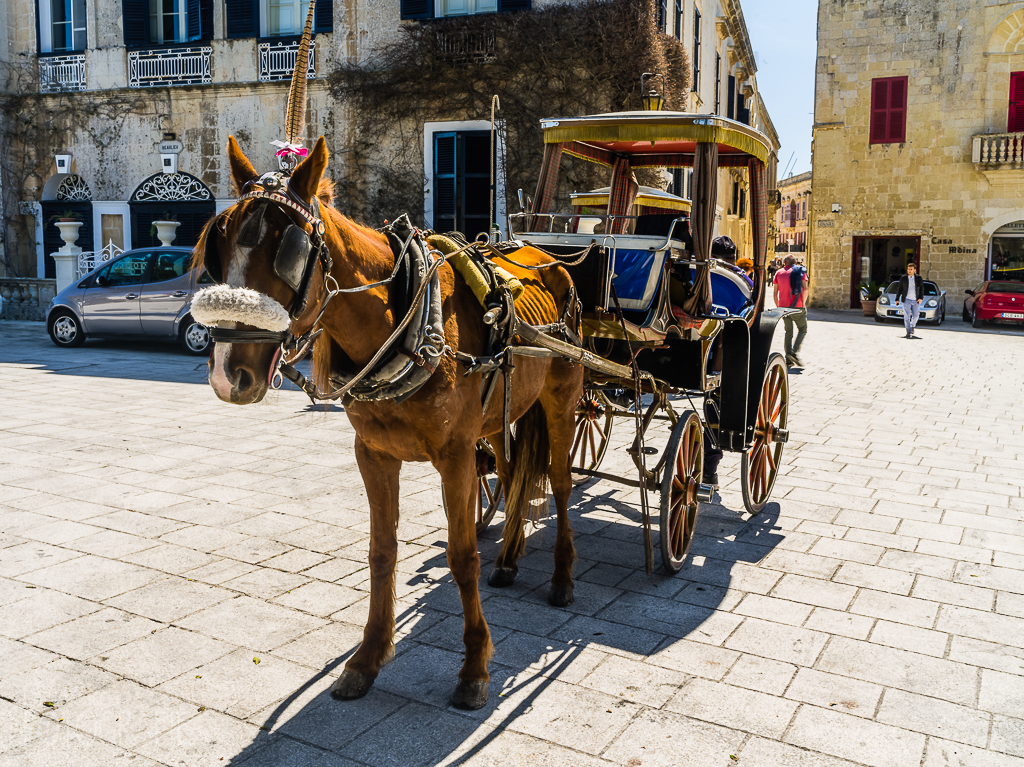 Malta - Mdina Carrozza Pferdekutsche