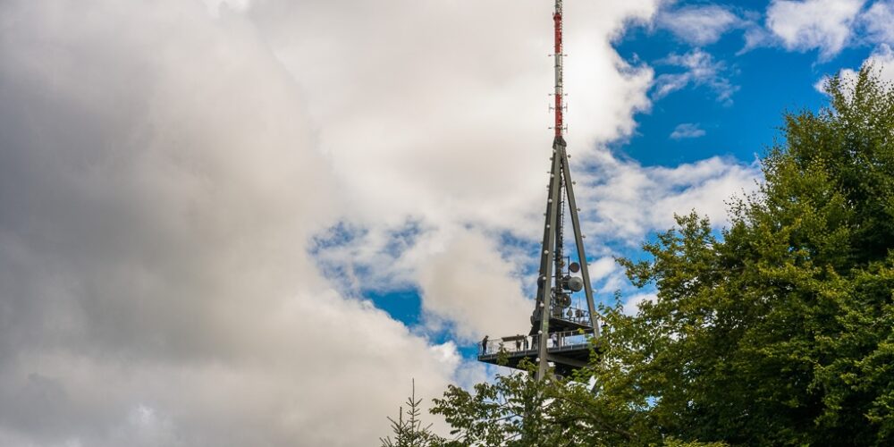 Uetliberg im Sommer