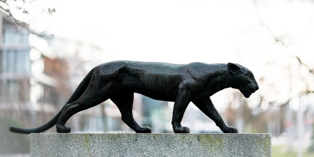 Was in Zürich so kreucht und fleucht...