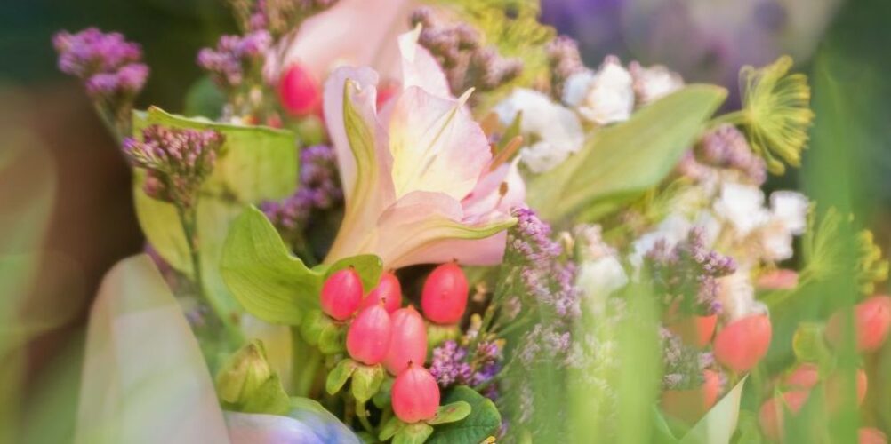 Endlich Frühling... :-)