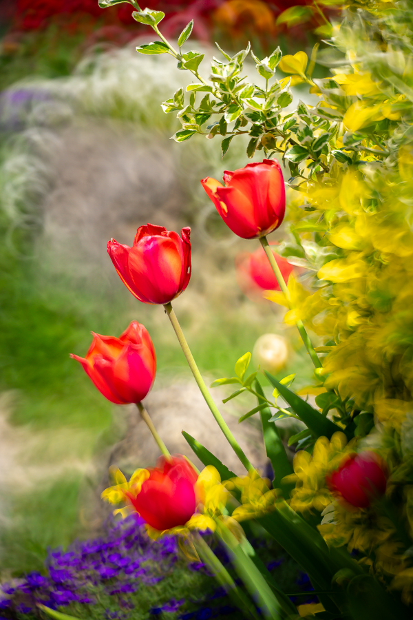 Test KASE 5.6/200 Spiegeltele
