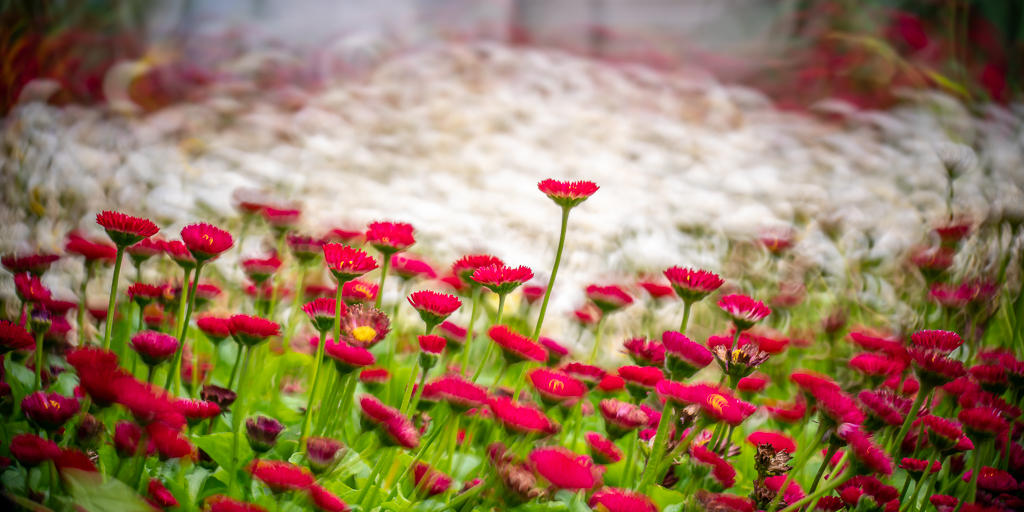 Test KASE 5.6/200 Spiegeltele